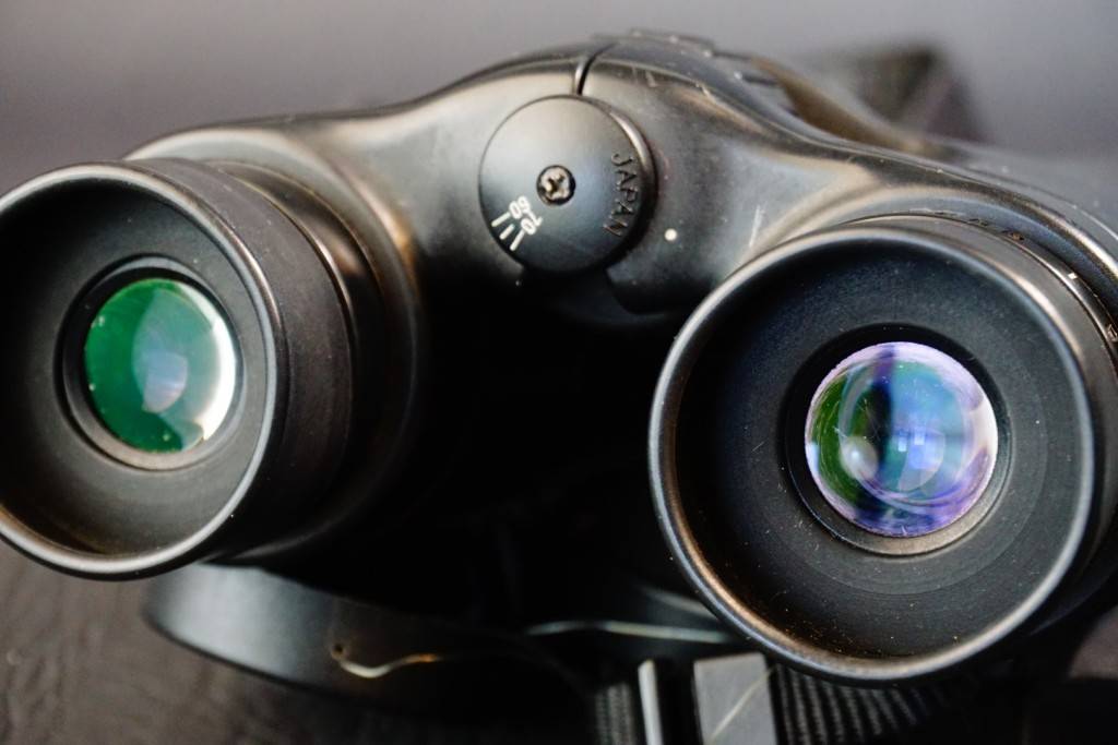 Binoculars & Monoculars NIKON 10X42 5.4 deg binoculars **Needs